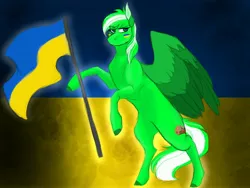 Size: 4000x3000 | Tagged: safe, artist:inisealga, derpibooru import, oc, unofficial characters only, pegasus, pony, colored wings, commission, current events, flag, flag waving, image, jpeg, male, pegasus oc, solo, stallion, standing on two hooves, tail, two toned mane, two toned tail, two toned wings, ukraine, wings, ych result, your character here