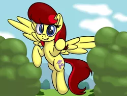 Size: 800x600 | Tagged: safe, artist:steamflash, derpibooru import, oc, oc:sunset haven, unofficial characters only, pegasus, pony, female, image, pegasus oc, png, smiling, solo, wings