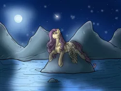 Size: 512x384 | Tagged: safe, artist:unknownfilters, derpibooru import, fluttershy, pegasus, pony, female, image, jpeg, night, night sky, sky, solo, water
