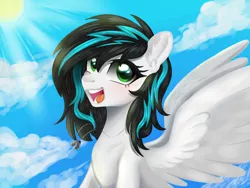 Size: 1600x1200 | Tagged: safe, artist:kaikururu, derpibooru import, oc, unofficial characters only, pegasus, pony, :d, eyelashes, female, image, mare, open mouth, open smile, pegasus oc, png, smiling, spread wings, wings