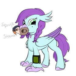 Size: 3000x3000 | Tagged: safe, artist:solos, derpibooru import, oc, oc:aella breeze, oc:valkyrie, unofficial characters only, hippogriff, fallout equestria, beak, birb, feather, female, freckles, hippogriff oc, hooves, image, mole, pipbuck, plushie, png, simple background, smiling, solo, talons, transparent background, wings