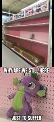 Size: 792x1787 | Tagged: safe, artist:healthy-pony6292, derpibooru import, spike, dragon, abuse, caption, close-up, forever alone, image, irl, jpeg, male, meme, merchandise, photo, plushie, shelf, solo, spikeabuse, store, text