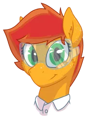 Size: 933x1251 | Tagged: safe, artist:al solae, derpibooru import, oc, oc:chemical function, earth pony, pony, female, goggles, image, mare, png, simple background, solo, transparent background