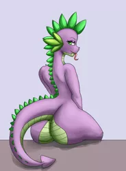 Size: 1400x1900 | Tagged: suggestive, artist:zachc, derpibooru import, spike, anthro, dragon, ass, butt, dragonbutt, femboy, femboy spike, image, looking at you, looking away, male, not barb, not rule 63, png, rear view, smiling, solo, solo male, tongue out