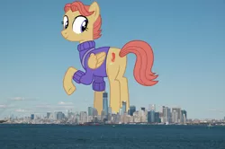 Size: 2300x1529 | Tagged: safe, artist:dragonchaser123, artist:thegiantponyfan, derpibooru import, amber ink, pegasus, pony, butt, clothes, female, folded wings, giant pegasus, giant pony, giantess, highrise ponies, image, irl, looking at you, looking back, looking back at you, macro, manhattan, mare, mega giant, new york, new york city, photo, plot, png, ponies in real life, raised hoof, smiling, sweater, wings