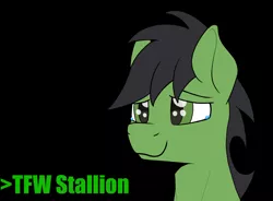 Size: 2480x1828 | Tagged: safe, artist:sefastpone, derpibooru import, edit, oc, oc:anon stallion, pony, black background, crying, digital art, greentext, image, male, png, sefast's anon, simple background, smiling, stallion, tears of joy, text, tfw