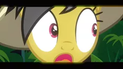 Size: 1366x768 | Tagged: safe, derpibooru import, screencap, daring do, pegasus, pony, read it and weep, female, hat, image, mare, pith helmet, png, reaction image, shocked