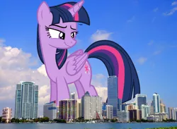 Size: 2048x1501 | Tagged: safe, artist:davidsfire, artist:thegiantponyfan, derpibooru import, twilight sparkle, twilight sparkle (alicorn), alicorn, pony, female, florida, folded wings, giant alicorn, giant pony, giantess, highrise ponies, image, irl, macro, mare, mega giant, mega twilight sparkle, miami, photo, png, ponies in real life, smiling, smirk, story included, twizilla, wings