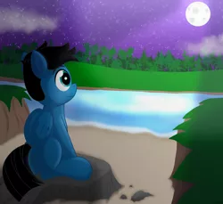 Size: 7200x6600 | Tagged: safe, artist:agkandphotomaker2000, derpibooru import, oc, oc:pony video maker, unofficial characters only, pegasus, pony, admiring, cloud, folded wings, forest, image, lake, looking at the scenery, moon, moonlight, night, png, rock, sand, sitting, stars, tree, water, wings