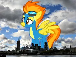 Size: 800x600 | Tagged: safe, artist:issyrael, artist:thegiantponyfan, derpibooru import, spitfire, pegasus, pony, clothes, england, female, giant pegasus, giant pony, giantess, goggles, highrise ponies, image, irl, london, macro, mare, mega giant, photo, png, ponies in real life, smiling, spread wings, uniform, united kingdom, wings, wonderbolts uniform