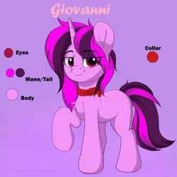 Size: 1280x1280 | Tagged: safe, artist:joaothejohn, derpibooru import, oc, pony, unicorn, collar, commission, cute, horn, image, jpeg, looking at you, reference sheet, simple background, smiling, solo, unicorn oc