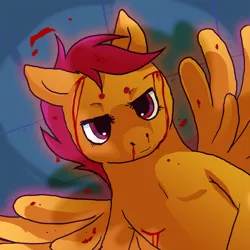 Size: 900x900 | Tagged: semi-grimdark, artist:blackmailchan, derpibooru import, scootaloo, pegasus, pony, fanfic:rainbow factory, absentia, abuse, bleeding, blood, blood splatter, cut, fanfic art, female, filly, foal, frown, image, injured, lidded eyes, looking at you, nosebleed, png, scootabuse, solo, spread wings, standing on two hooves, wings