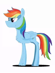 Size: 608x810 | Tagged: safe, artist:mige sanwu, derpibooru import, rainbow dash, pegasus, pony, cutie mark, female, image, jpeg, shadow, sidemouth, simple background, smiling, solo, standing, white background