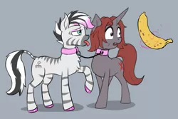 Size: 2051x1372 | Tagged: suggestive, artist:rosik, artist:xbi, derpibooru import, oc, oc:bananas, oc:rosik, pony, unicorn, zebra, banana, bound together, collar, eyelashes, food, hoof polish, image, leash, levitation, linked collars, magic, open mouth, pet play, png, raised hoof, sweat, sweatdrop, telekinesis, tongue out