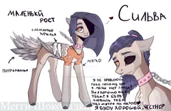 Size: 1280x829 | Tagged: safe, artist:meggychocolatka, derpibooru import, oc, unofficial characters only, pegasus, pony, bandage, bust, chains, clothes, collar, cyrillic, deviantart watermark, duo, female, heterochromia, image, jpeg, mare, obtrusive watermark, pegasus oc, reference sheet, russian, simple background, watermark, white background, wings