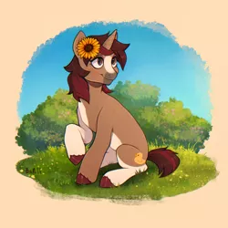 Size: 1600x1600 | Tagged: safe, artist:birdoffnorth, derpibooru import, oc, unofficial characters only, pony, unicorn, brown eyes, brown mane, bush, coat markings, cutie mark, flower, flower in hair, grass, grass field, image, jpeg, pinto, short tail, solo, sunflower, tail