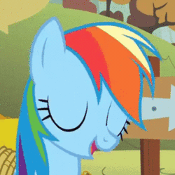 Size: 293x292 | Tagged: safe, derpibooru import, screencap, rainbow dash, pegasus, pony, fall weather friends, season 1, animated, autumn, bound wings, cropped, derp, faic, female, gif, great moments in animation, image, laughing, mare, rainbow dash is best facemaker, rainbow derp, running of the leaves, smiling, solo, wings