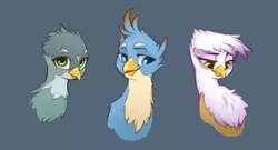 Size: 2940x1587 | Tagged: safe, artist:blue ink, derpibooru import, gabby, gallus, gilda, gryphon, bust, chest fluff, female, image, lidded eyes, looking at you, looking down, looking sideways, male, png, portrait, simple background, smiling, trio