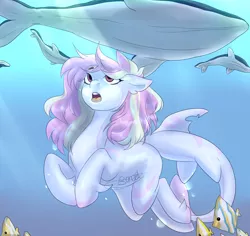 Size: 2522x2378 | Tagged: safe, artist:boresuser, derpibooru import, oc, unofficial characters only, fish, merpony, original species, pony, shark, shark pony, whale, blue background, bubble, crepuscular rays, dorsal fin, female, fish tail, image, looking up, mare, ocean, open mouth, pink mane, png, red eyes, simple background, solo, sunlight, swimming, tail, teeth, underwater, water