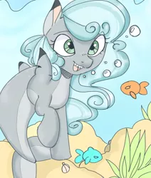 Size: 868x1026 | Tagged: safe, artist:mushy, derpibooru import, oc, oc:bubbles, fish, original species, pony, shark, shark pony, bubble, dorsal fin, female, flowing mane, green eyes, image, looking at each other, mare, ocean, open mouth, photo, png, seashell, seaweed, sharkified, sharp teeth, smiling, smiling at each other, solo, species swap, swimming, talking to viewer, teeth, underwater, water