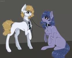 Size: 2500x2000 | Tagged: safe, artist:con-ni, derpibooru import, oc, oc:connie, oc:cosmia nebula, unofficial characters only, earth pony, pony, chest fluff, collar, colored, derpibooru exclusive, ear fluff, flat colors, image, leash, necktie, pet play, pixel art, png, simple background