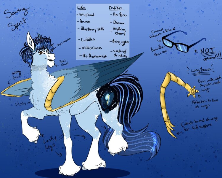 Size: 1280x1024 | Tagged: safe, artist:inisealga, derpibooru import, oc, oc:soaring spirit, unofficial characters only, pony, abstract background, blaze (coat marking), chest fluff, coat markings, colored hooves, colored wings, cutie mark, facial markings, glasses, image, jpeg, male, multicolored hair, multicolored mane, multicolored tail, multicolored wings, neck fluff, raised leg, reference sheet, socks (coat marking), solo, stallion, tail, text, unshorn fetlocks, wing brace, wings