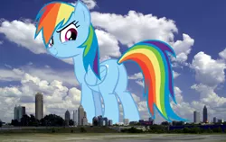 Size: 1708x1080 | Tagged: safe, artist:rainbowmaned, artist:thegiantponyfan, derpibooru import, rainbow dash, pegasus, pony, atlanta, butt, female, georgia, giant pegasus, giant pony, giantess, highrise ponies, image, irl, looking at you, looking back, looking back at you, macro, mare, mega giant, mega/giant rainbow dash, multicolored hair, photo, plot, png, ponies in real life, rainbow hair, rainbow tail, rainbutt dash, smiling, story included, tail