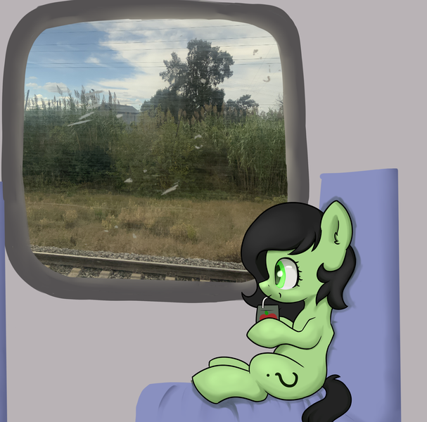 Size: 3022x2986 | Tagged: safe, artist:dumbwoofer, derpibooru import, oc, oc:anonfilly, pony, chair, female, filly, image, irl, juice, juice box, photo, png, sitting, train, tree, window