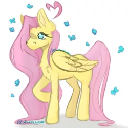 Size: 3000x3000 | Tagged: safe, artist:keithdrawings, derpibooru import, fluttershy, butterfly, insect, pegasus, pony, chest fluff, cute, image, no pupils, png, shyabetes, simple background, solo, white background