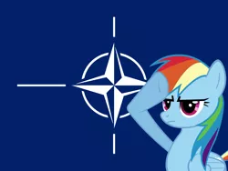 Size: 2560x1920 | Tagged: safe, derpibooru import, rainbow dash, pegasus, pony, flag, image, nato, png, rainbow dash salutes, solo