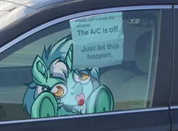 Size: 636x467 | Tagged: safe, artist:witchtaunter, derpibooru import, lyra heartstrings, ponified, pony, unicorn, abuse, car, chest fluff, derp, ear fluff, female, image, irl, l.u.l.s., licking, lyrabuse, meme, photo, png, ponies in real life, ponified meme, solo, solo female, tongue out