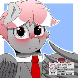 Size: 2000x2000 | Tagged: safe, artist:h3nger, derpibooru import, oc, oc:cotton puff, pegasus, pony, blushing, horny on main, image, male, necktie, png, solo, stallion