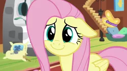 Size: 1280x720 | Tagged: safe, derpibooru import, screencap, fluttershy, butterfly, insect, pegasus, pony, fluttershy leans in, season 7, animal, close-up, cute, daaaaaaaaaaaw, dilated pupils, female, fluttershy's cottage, happy, hnnng, image, mare, png, reaction image, shyabetes, smiling, solo, weapons-grade cute