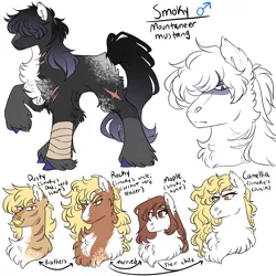 Size: 3000x3000 | Tagged: safe, artist:gingygin, derpibooru import, oc, oc:camellia, oc:dusky, oc:maple, oc:rocky, oc:smoky, unofficial characters only, earth pony, pony, bust, chest fluff, female, fluffy, image, leg wraps, male, mare, png, scar, simple background, stallion, white background
