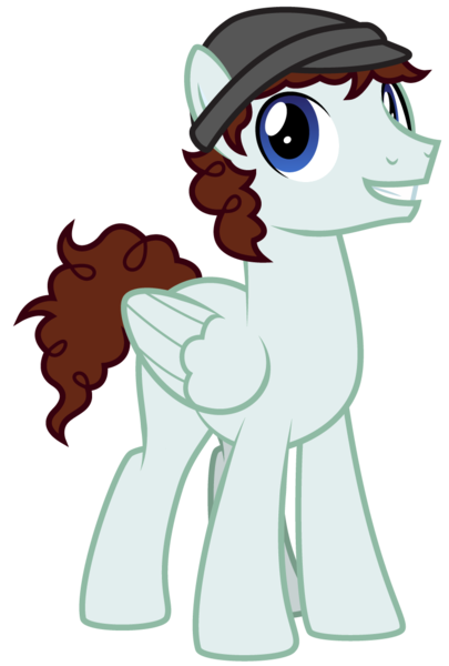 Size: 785x1163 | Tagged: safe, artist:lightning stripe, derpibooru import, oc, oc:skelter wind, pegasus, pony, blue eyes, brown mane, brown tail, commission, curly hair, grin, hat, image, male, png, show accurate, simple background, smiling, solo, stallion, tail, transparent background, vector, wings