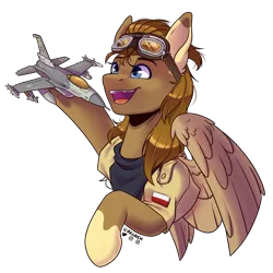 Size: 2000x2000 | Tagged: safe, artist:ak4neh, derpibooru import, oc, oc:feather paw, unofficial characters only, pegasus, clothes, excited, goggles, image, jacket, jet, plane, png, poland, simple background, solo, transparent background