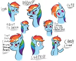 Size: 1587x1269 | Tagged: safe, artist:aflurryofdragons, derpibooru import, rainbow dash, pegasus, pony, :o, bust, disgusted, expressions, eyes closed, facial expressions, female, front view, frown, grin, head tilt, image, lidded eyes, looking at you, mare, no pupils, open mouth, png, portrait, shrunken pupils, simple background, smiling, smug, surprised, text, three quarter view, white background