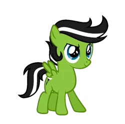 Size: 875x871 | Tagged: safe, artist:darbypop1, derpibooru import, oc, oc:black thunder, unofficial characters only, pegasus, pony, colt, foal, full body, hooves, image, male, pegasus oc, png, show accurate, simple background, smiling, solo, spread wings, standing, tail, transparent background, two toned mane, two toned tail, wings