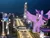 Size: 715x549 | Tagged: safe, derpibooru import, twilight sparkle, twilight sparkle (alicorn), alicorn, pony, female, giant pony, giantess, highrise ponies, image, irl, jpeg, macro, mare, night, north korea, photo, ponies in real life, pyongyang