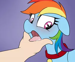 Size: 1200x1000 | Tagged: suggestive, artist:datte-before-dawn, rainbow dash, human, pegasus, pony, blushing, collar, drool, heart eyes, image, jpeg, open mouth, pet play, wingding eyes, wings