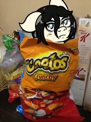 Size: 748x1000 | Tagged: safe, artist:lazerblues, derpibooru import, oc, oc:floor bored, earth pony, pony, bag, cheetos, image, png, solo