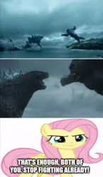 Size: 349x596 | Tagged: safe, derpibooru import, edit, edited screencap, screencap, fluttershy, pegasus, godzilla, godzilla vs kong, image, jpeg, king kong, low effort, lowres