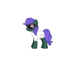 Size: 830x650 | Tagged: safe, artist:cloudybanana, derpibooru import, oc, oc:flower thatcher, unofficial characters only, earth pony, pony, pony creator, clothes, glasses, image, png, simple background, solo, transparent background