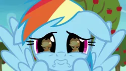 Size: 1280x720 | Tagged: safe, derpibooru import, screencap, applejack, rainbow dash, earth pony, pegasus, pony, grannies gone wild, season 8, spoiler:s08, applejack is not amused, close-up, cute, daaaaaaaaaaaw, dashabetes, dilated pupils, duo, duo female, eye reflection, female, hnnng, hoof on cheek, image, mare, png, pouting, puppy dog eyes, rainbow dash is best facemaker, reflection, sad, sadorable, spread wings, unamused, weapons-grade cute, wings