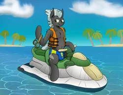 Size: 5000x3889 | Tagged: suggestive, artist:tacomytaco, derpibooru import, thunderlane, pegasus, pony, belly button, chest fluff, clothes, crotch bulge, goggles, image, jet ski, lifejacket, looking at you, male, open clothes, png, solo, solo male, speedo, swimsuit, water