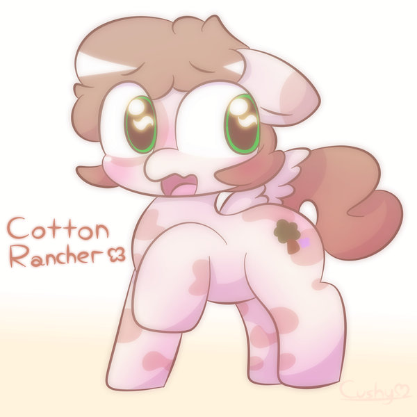 Size: 2000x2000 | Tagged: safe, artist:cushyhoof, derpibooru import, oc, oc:cotton rancher, unofficial characters only, pegasus, pony, blushing, coat markings, cute, embarrassed, gradient background, high res, image, male, open mouth, png, shy, solo, spread wings, stallion, text, wings