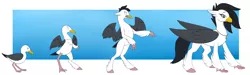 Size: 3000x900 | Tagged: artist needed, safe, derpibooru import, bird, hippogriff, seagull, blushing, image, jewelry, necklace, pearl necklace, png, shocked, shocked expression, transformation, transformation sequence