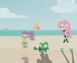 Size: 438x359 | Tagged: safe, derpibooru import, screencap, fluttershy, lily pad (equestria girls), tank, tortoise, aww... baby turtles, equestria girls, equestria girls series, beach, cropped, fluttershy's wetsuit, image, jpeg, motion blur, sandals