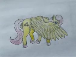 Size: 4032x3024 | Tagged: safe, derpibooru import, fluttershy, pegasus, pony, colored hooves, cute, female, full body, hiding behind wing, image, jpeg, looking at you, mare, shy, shyabetes, simple background, solo, traditional art, unshorn fetlocks, walking, white background, wings