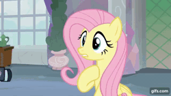 Size: 640x360 | Tagged: safe, derpibooru import, screencap, fluttershy, spike, dragon, pegasus, pony, non-compete clause, season 8, spoiler:s08, animated, camera, duo, eyes closed, female, gif, gifs.com, image, male, mare, open mouth, school of friendship, spread wings, wings